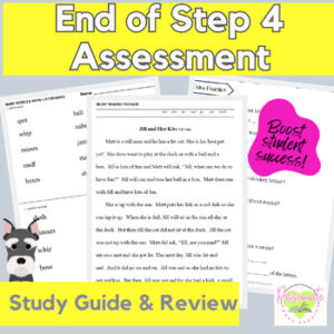 Reading System Step 4 No Prep End of Step Assessment Practice Test & Fun Review
