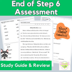 Reading System Step 6 No Prep End of Step Assessment Practice Test & Fun Review