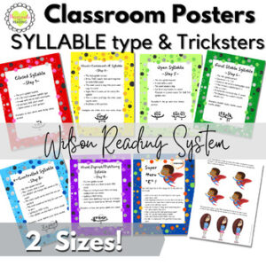 Classroom Decoration Reading System Syllable Type and Trick Posters- Fun Full Color Review in TWO sizes