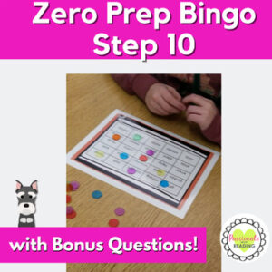 Lo Prep Reading System Step 10 Bingo Game (suffix + spelling rules)- FUN Review!