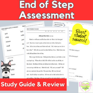 Reading System Step 1 No Prep End of Step Assessment Pre-Test & Fun Activities