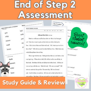 Reading System Step 2 No Prep End of Step Assessment Pre-Test & Fun Practice