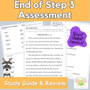 Reading System Step 3 No Prep End of Step Assessment Pre-Test & Fun Practice