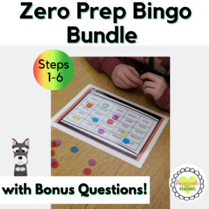 Bingo Bundle Steps 1-6, Wilson Reading System Aligned