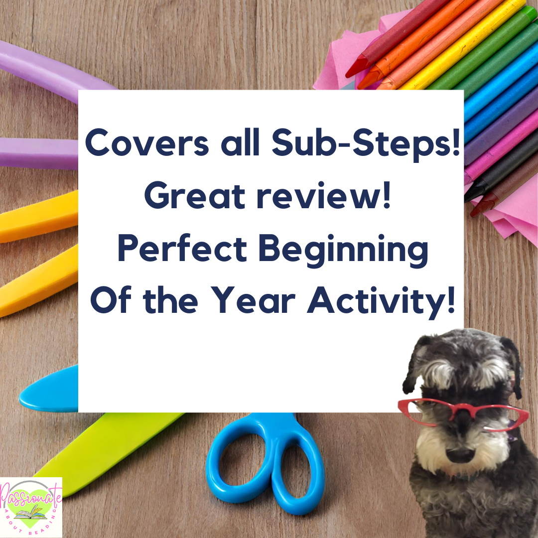 No Prep Back to School Phonics Review Bundle for Steps 1-9, Wilson Reading System Aligned - Image 6