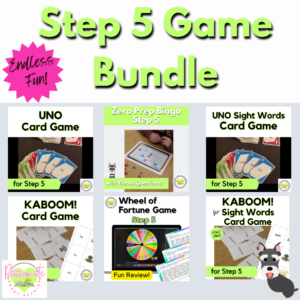 Step 5 Games Bundle, Wilson Reading System Aligned