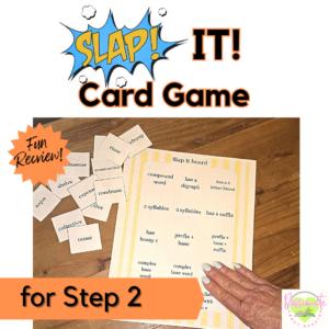 SLAP It! for Step 2 -ng, -nk, blends, closed exceptions Fun Phonics Review Game