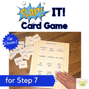 Reading System SLAP It! for Step 7 other sounds of c & g, trigraphs Fun Review