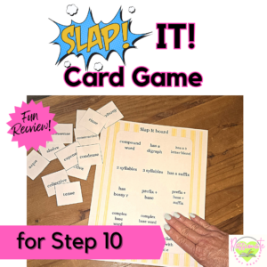 Reading System Step 10 SLAP It! Suffix & Spelling Rules Fun Phonics Review Game