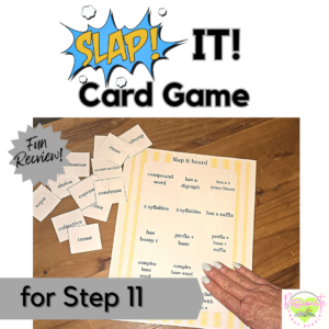 Reading System Step 11 SLAP It! i, e, & y Vowel Work Fun Phonics Review Game